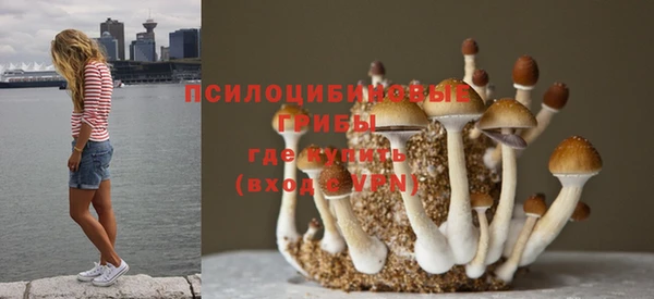 apvp Верея