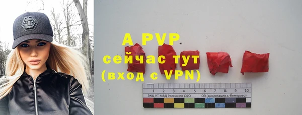 apvp Верея