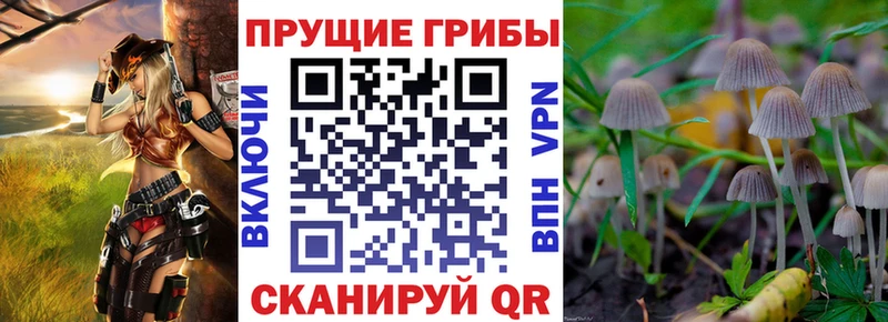 Псилоцибиновые грибы мицелий  где продают   Видное 